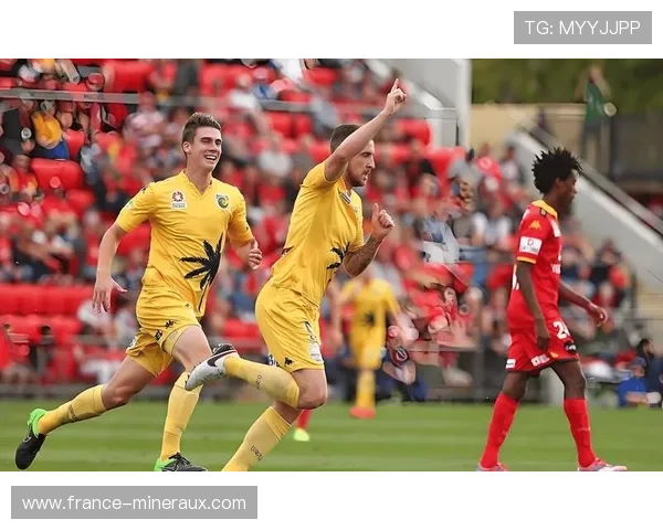 塞尔塔在西甲保级附加赛中表现稳健,奋力争取留在顶级联赛 塞尔塔在西甲保级附加赛中表现稳健,奋力争取留在顶级联赛