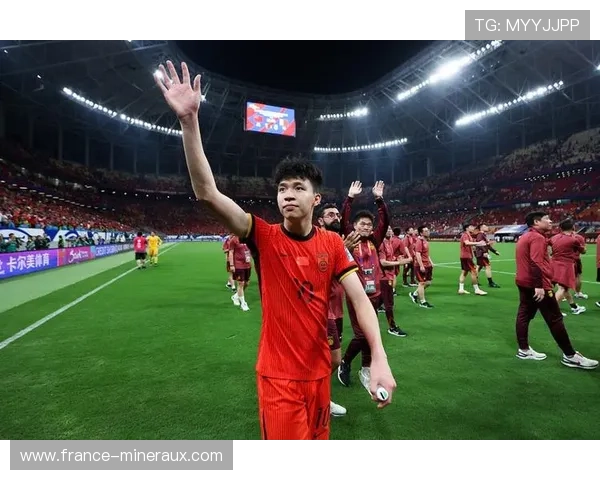 日本队技术流派