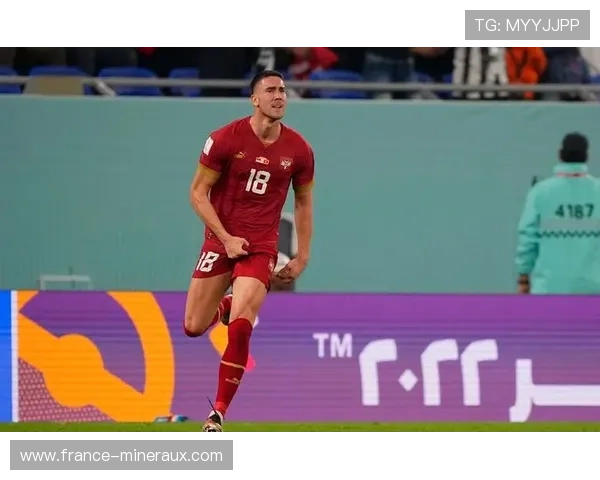 弗拉霍维奇:塞尔维亚国家队头号射手的角色解析 弗拉霍维奇:塞尔维亚国家队头号射手的角色解析