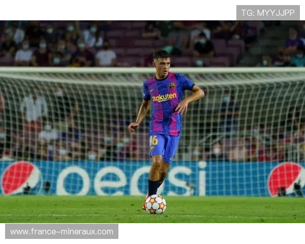 佩德里与罗德里:中场核心的战术角色与数据贡献深度对比 佩德里与罗德里:中场核心的战术角色与数据贡献深度对比