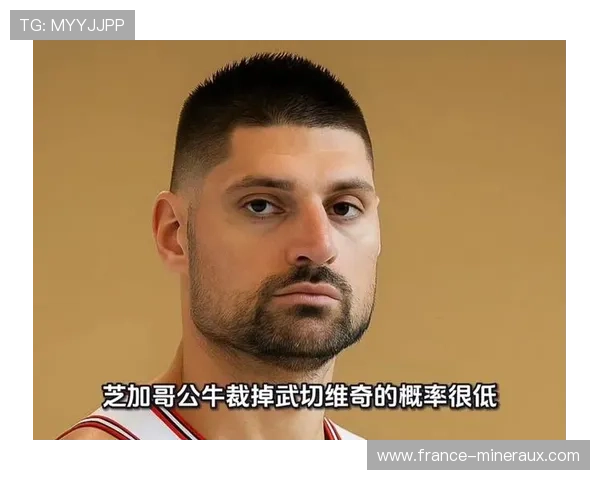 武切维奇挡拆拉开空间效率提升，带动球队内线得分增长